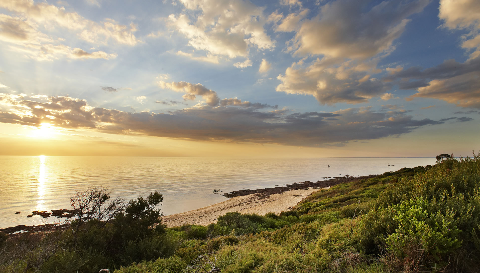 Mt Eliza Real Estate Cliff Top Homes Mt Eliza, Houses For Sale Mt Martha Aqua Real Estate