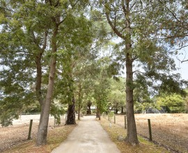 247_MyersRd_151