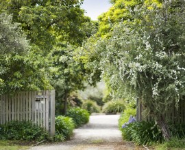 21_Canadian_Bay_Rd_Mt_Eliza_247
