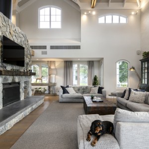 lounge room with fireplace