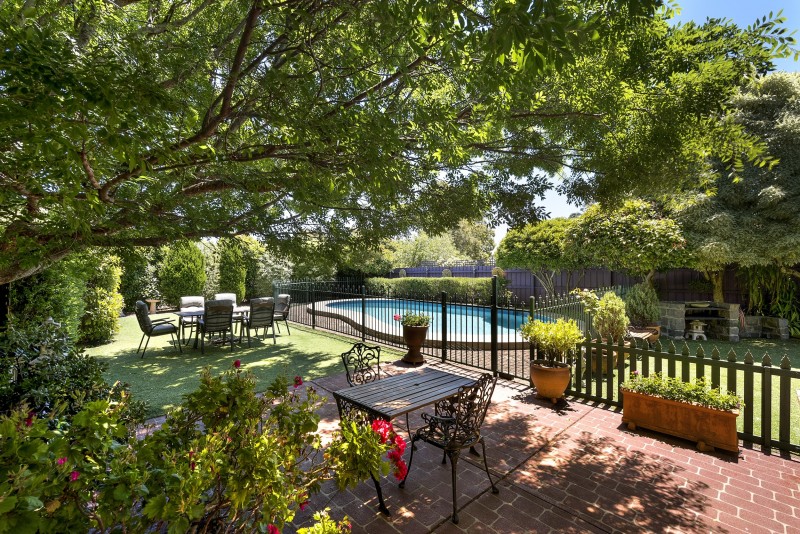 garden, patio and swimming pool