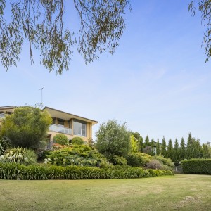 front lawn and garden