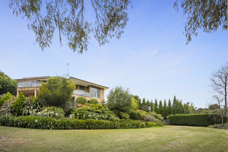 front lawn and garden