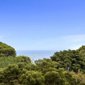 view of ocean over trees