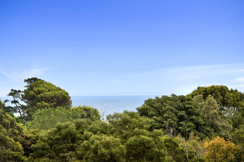 view of ocean over trees