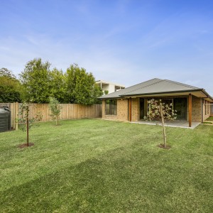 lawn