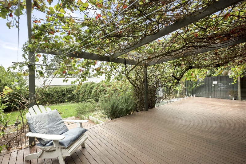 vine trellis over decking