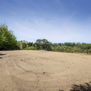 horse area