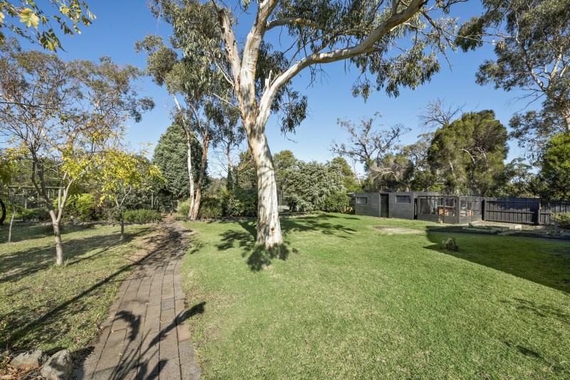 park with gumtrees