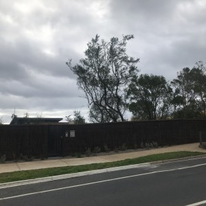 natural fibre fence