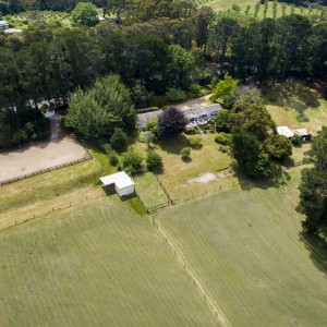 211_Bittern_Dromana_Rd_Merricks_North_578b