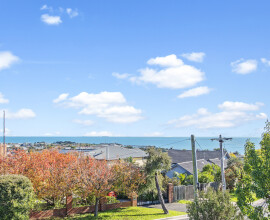 4 Balcombe Street Mornington-22