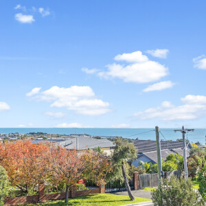 4 Balcombe Street Mornington-22