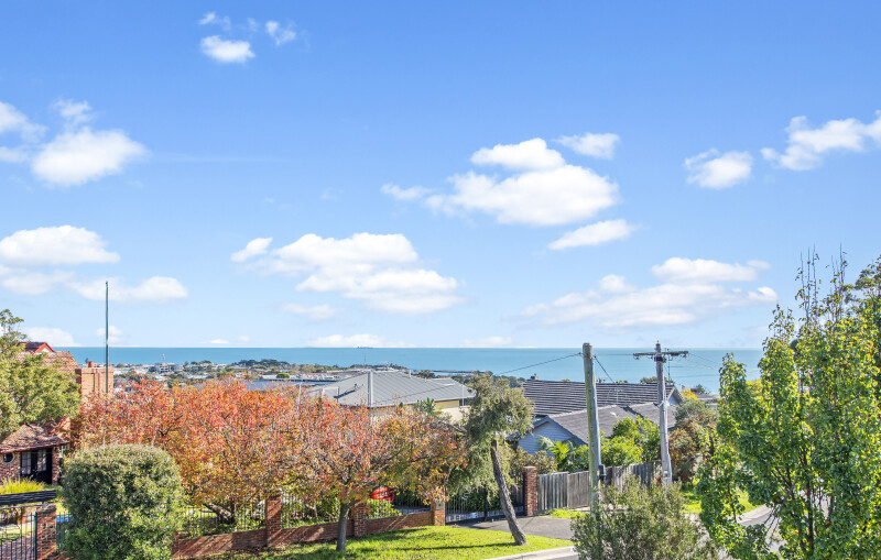 4 Balcombe Street Mornington-22