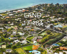 MtElizaAerial-185line