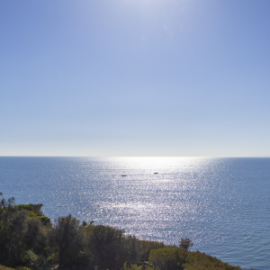 2019999109_4_1_250516_032110-w1800-h1200