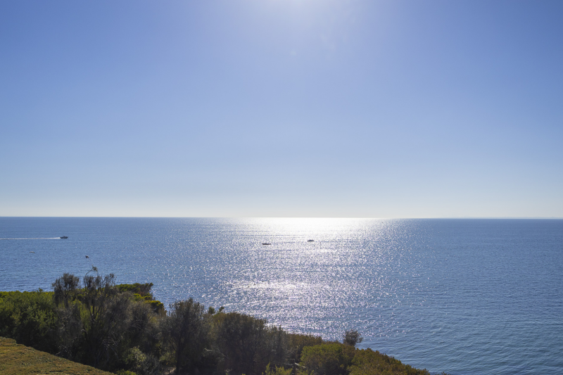 2019999109_4_1_250516_032110-w1800-h1200