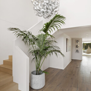 3_Rowsley_Rd_057