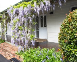 2018765120_1_1_230919_045022-w1280-h853