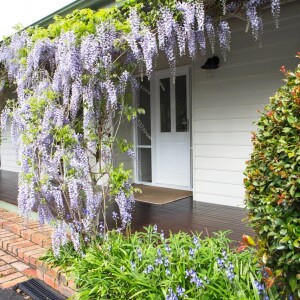 2018765120_1_1_230919_045022-w1280-h853