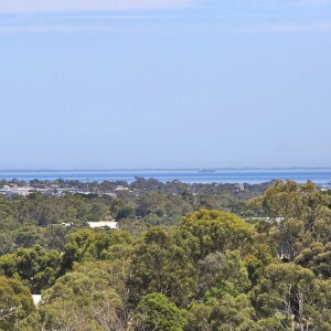 2014923948_18_1_190205_012533-w5760-h3840