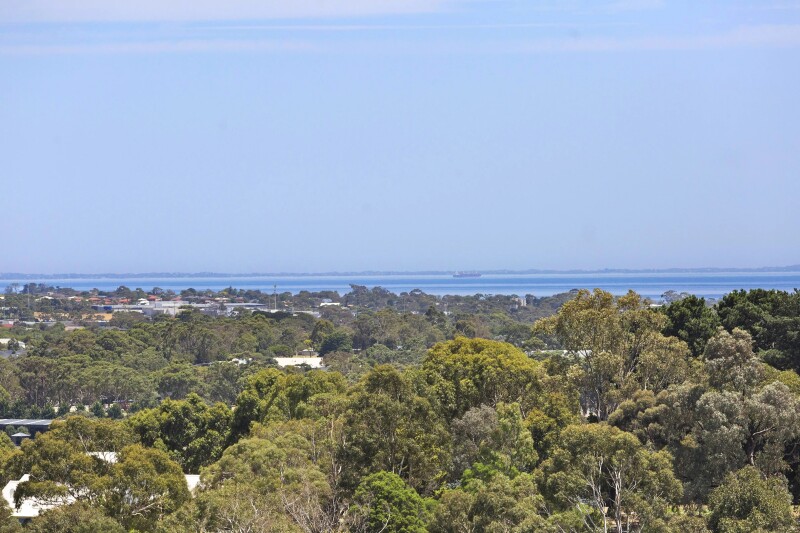 2014923948_18_1_190205_012533-w5760-h3840