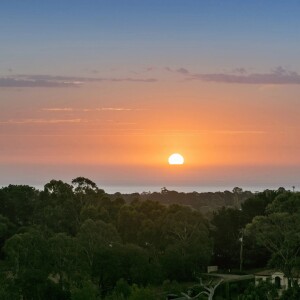 2014923948_2_1_190205_012533-w3960-h2640