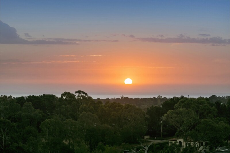 2014923948_2_1_190205_012533-w3960-h2640